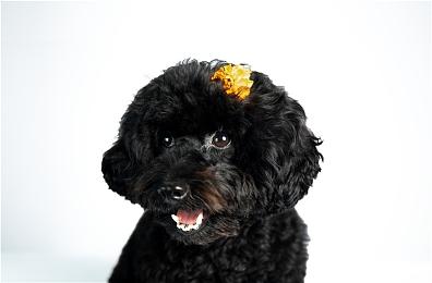 《漫威争锋》“术士亚当”预告片 7月24日封测